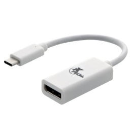 Adaptador Convertidor X-Tech XTC-555 USB Tipo C (Macho) a Display Port (Hembra)