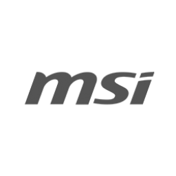 MSI